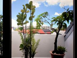 Tai Keng Garden (D19), Terrace #574003731